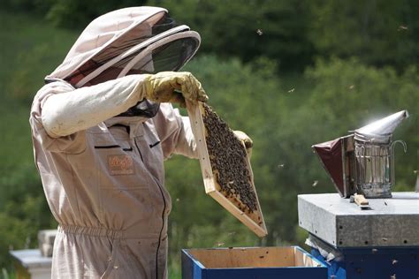 Beginner Beekeeping Course Bee Ware