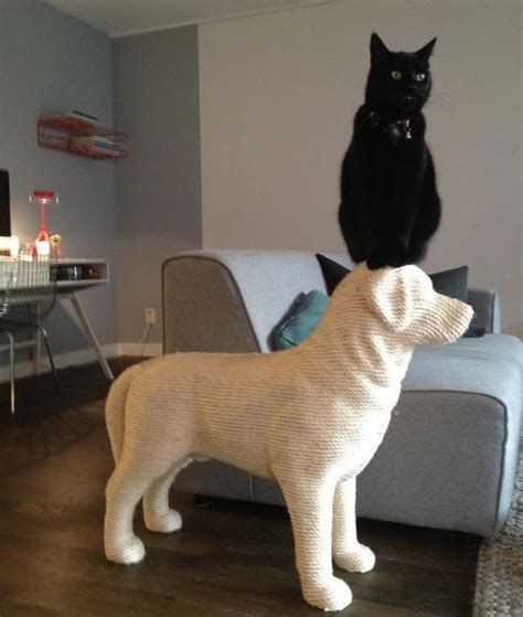 Man Builds Dog Shaped Scratching Post For His Beloved Cat