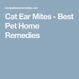 Images of Cat Odors Home Remedies