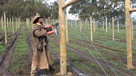 Powershot Staple Gun Not Working - Powershot Staple Gun How To Load