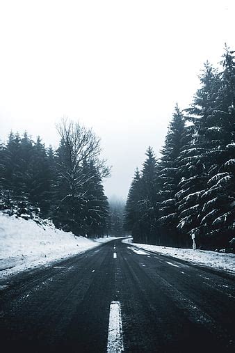 1920x1080px 1080p Free Download Snow Covered Road Near Trees And
