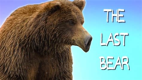 The Last Bear On Earth Humanity Youtube