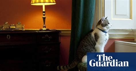 Larry The Cat Arrives At Downing Street In Pictures Politics The