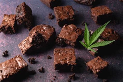 cannabutter brownies buy cannabis seeds rocket seeds