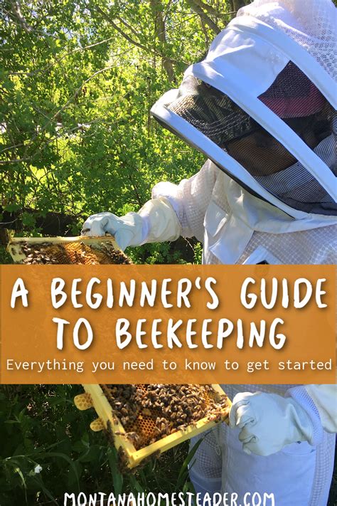A Beginners Guide To Beekeeping Everything You Need To Know To Get Started