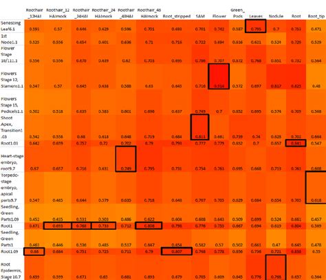 This Heatmap Shows The Results Of Spearman Correlation Coefficient