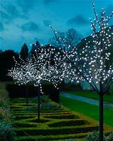 Images of Outdoor Solar Lights For Trees
