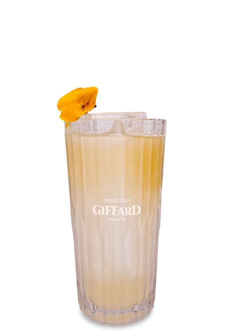 Fard Ginger Alcohol Free