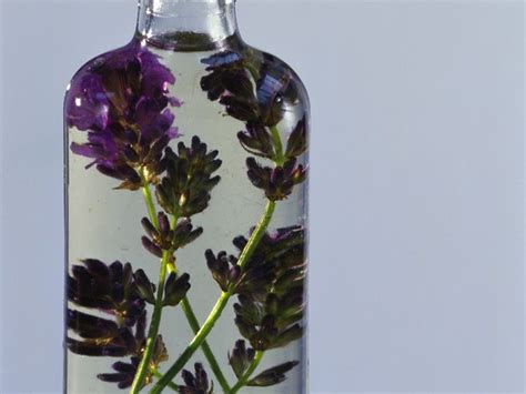 Lavender Liqueur Recipe Eatsmarter