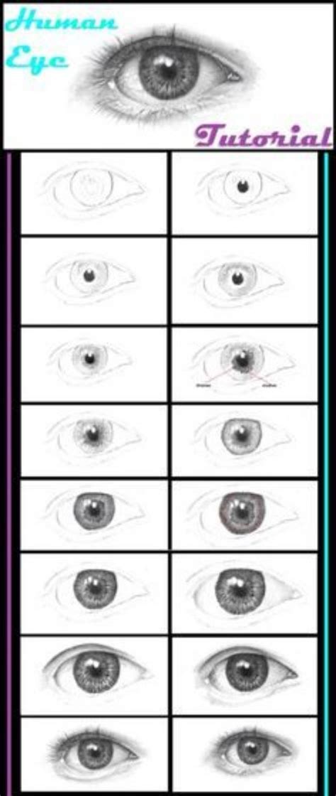 How To Draw An Eye Step By Step Pictures Guides Eye Drawing