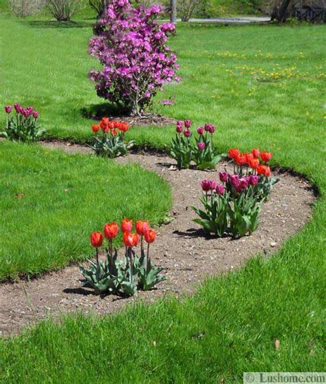 Spring Flowers And Yard Landscaping Ideas 20 Tulip Bed