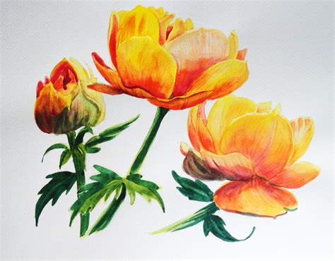 Assorted Original Botanical Watercolor Paintings