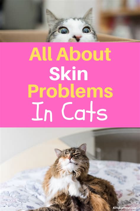 Pin On Cat Health And Wellness