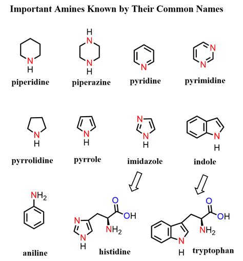 Naming Amines Systematic And Common Nomenclature Chemistry Steps Nomenclature Chemistry