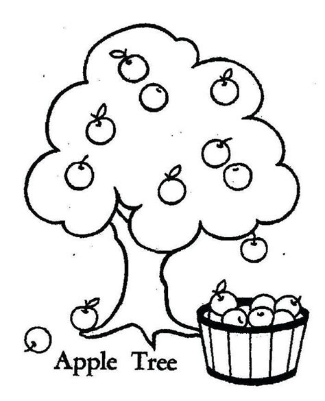 20 Apple Picking Coloring Pages Caitlin Gallagher Apple Coloring