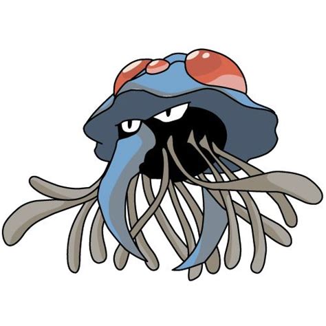 Tentacruel Pokémon Wiki Fandom Pokemon Pokemon Pokedex Original Pokemon