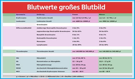 Tolle blutzucker tabelle zum eintragen excel durchgehend. Großes Blutbild: Die Werte einfach verständlich erklärt