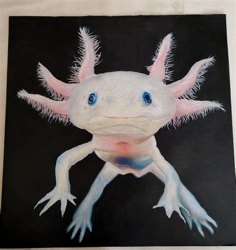 Axolotl Drawing I Did For My Boyfriends Bday 3 Raxolotls