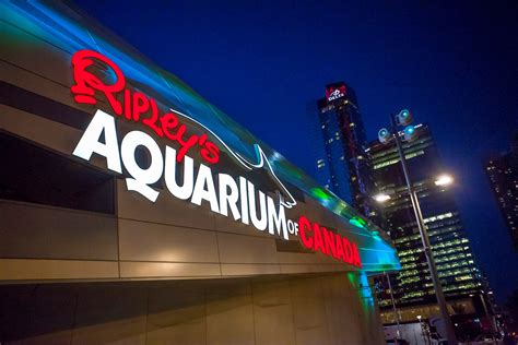 Ripleys Aquarium Of Canada Articles Special Event Venue In Toronto On
