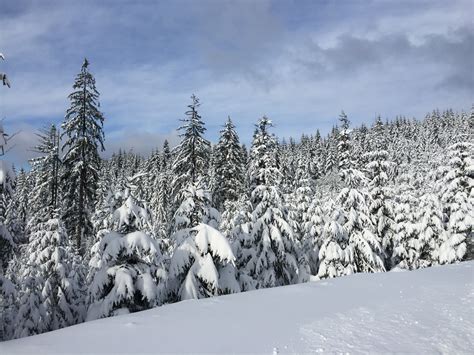 Free Images Tree Forest Wilderness Snow Winter Mountain Range