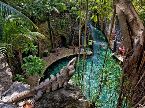 Los Mejores Parques Temáticos En Cancún Y La Riviera Maya Expedia
