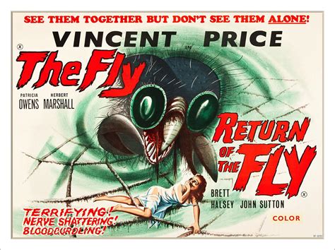 Vincent Price The Fly And Return Of The Fly Horror Poster Art Print £