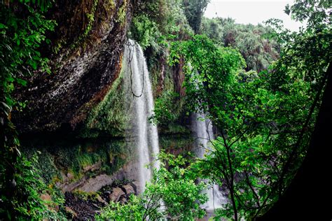 Travel Destination Agbokim Waterfall Artsy Moments