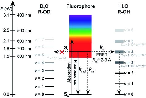 Universal Quenching Of Common Fluorescent Probes By Water And Alcohols