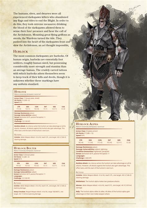 D And D 5e Character Builder Dryaid Jmfer