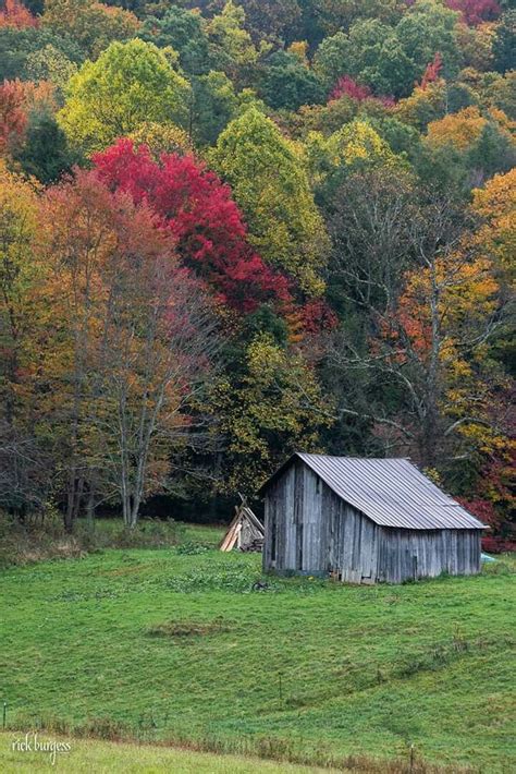 Along Beauty Mountain Rd Fayette County West Virginia Rick Burgess