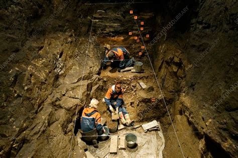 Denisovans Full Guide Appearance Extinction Neanderthal Links Bbc