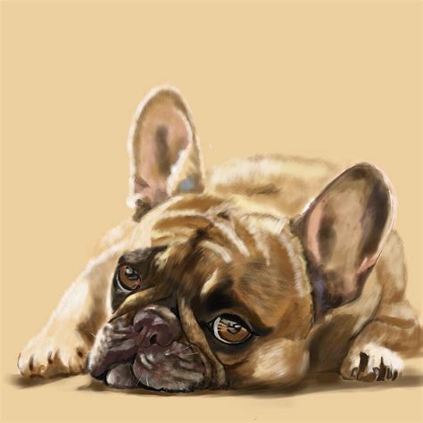 French Bulldog Digital Art By Victoria Newton Fine Art America