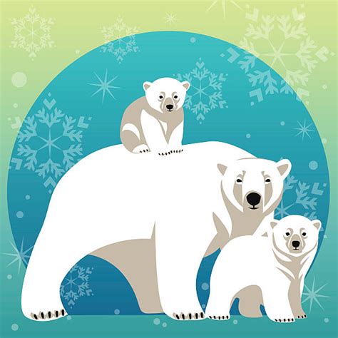 Polar Bear Clip Art Vector Images And Illustrations Istock