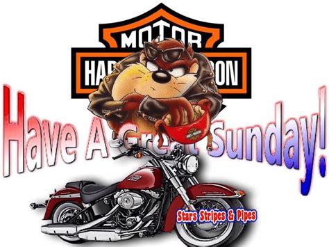 Pin By Cindy Kongslie On Harley Davidson Sunday Harley Davidson