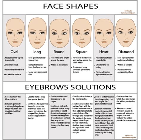 The Perfect Human Face The Correct Eyebrow Shape For Your Face Shape