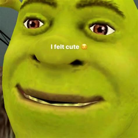 Pin By Aiko On Me In 2020 Shrek Memes Cute