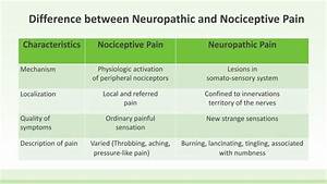 Neuropathic Vs Nociceptive Ppt