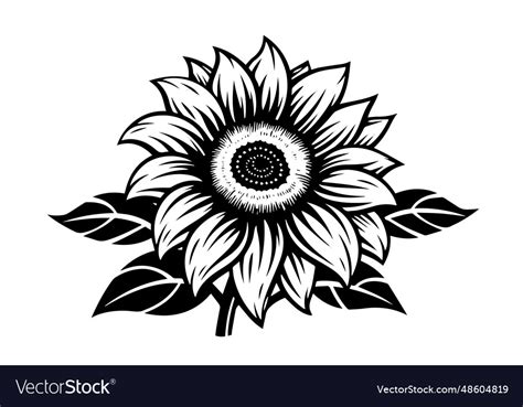 Engraving Style Drawing Royalty Free Vector Image
