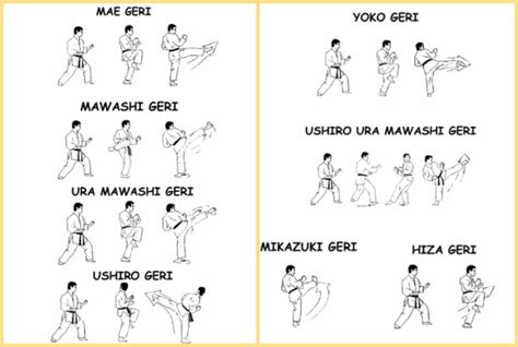Best Of All Karate Kicks Karate Kicks Keri Waza Isshinryu Kyokushin Obsession Blog Karate