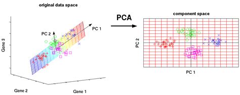 Latent Spaces Analysis Of Single Cell Rna Seq Data