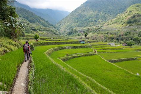 Breathtaking Rice Terraces Of Ifugao Province Philippines There Is Cory