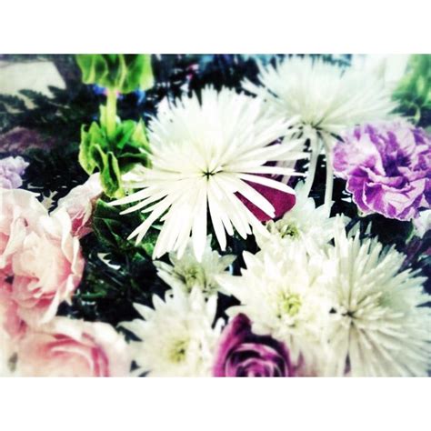 Just sharing in a moment of intuition. Love the colors. flowers Matt gave me | Color, Flowers, My ...