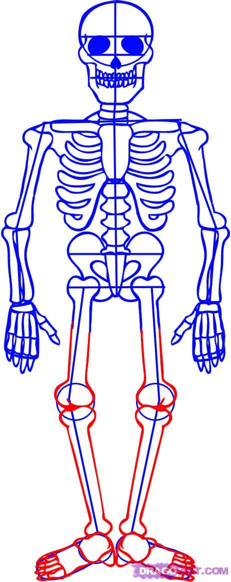 Skeleton Drawing Easy At Explore Collection Of