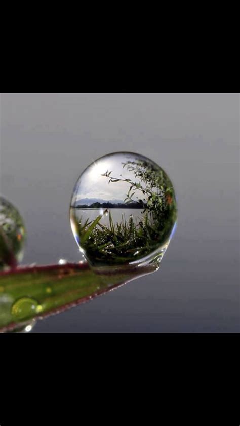 Scenery From A Water Drop Macro Photography Nature Photography