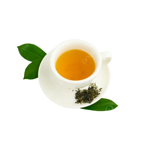 Tea Polyphenol Photography Picture Hot Drink Green Tea Healthy