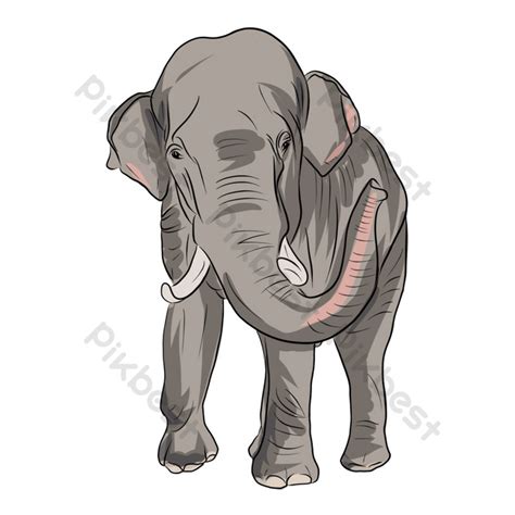 Gajah Animasi Png
