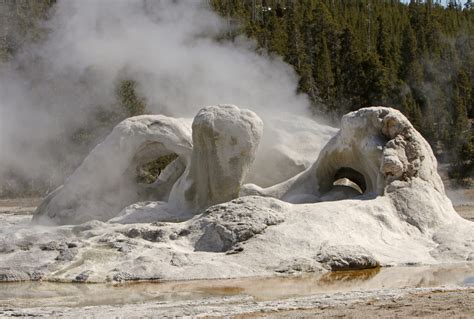 Old Yellowstone History Of Grotto Geyser Yellowstone Insider