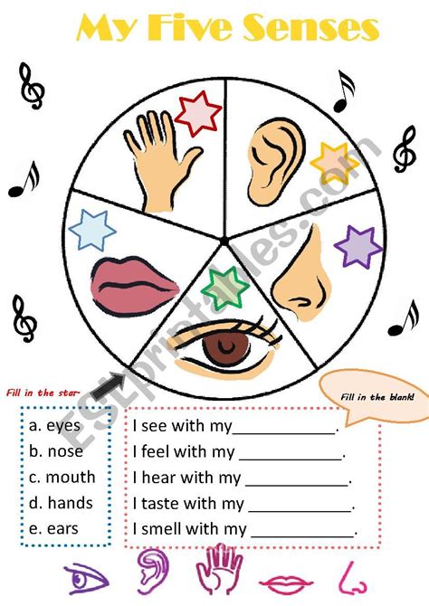 My five senses - ESL worksheet by Emma Lee