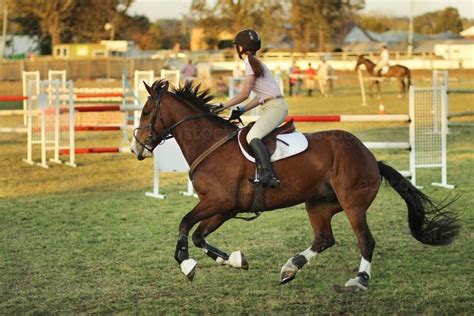 Image Of Girl Riding Brown Horse Around The Show Jumping Course At The