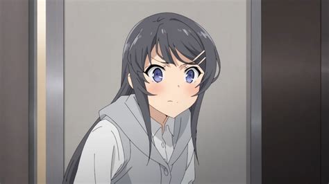 H Nh N N Mai Sakurajima Seishun Buta Yarou Wa Bunny Girl Senpai No Yume O Minai Anime